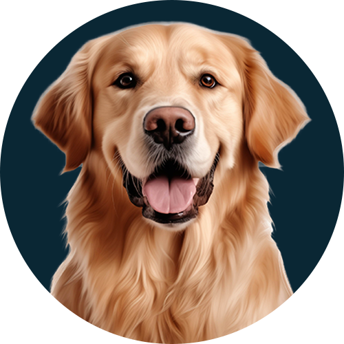 perro